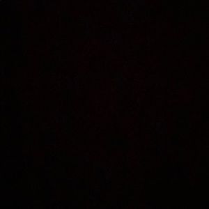 Meet your Posher, Gus